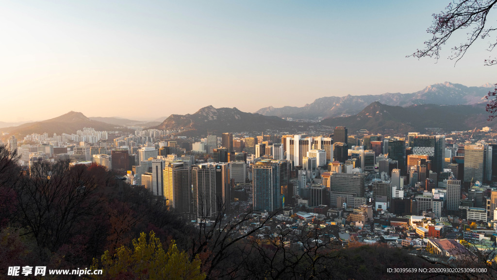 城市