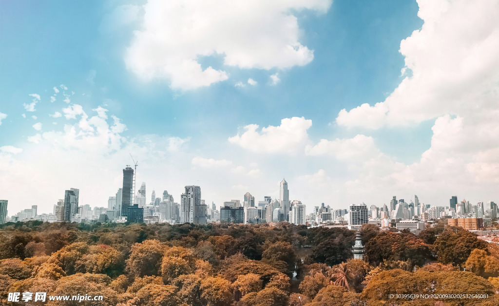 城市