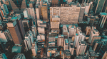 城市