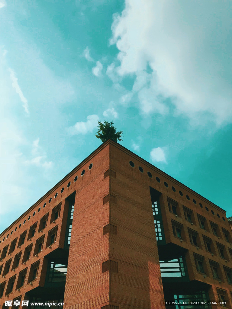 城市