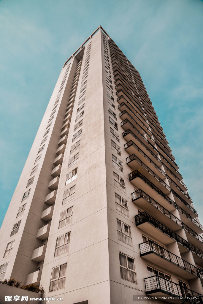城市