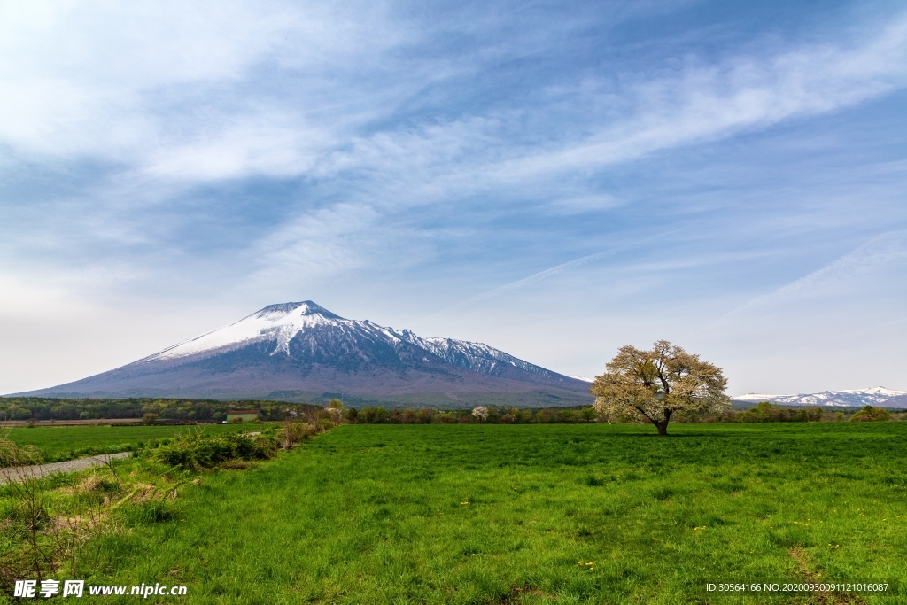 日本富士山风景背景海报素材