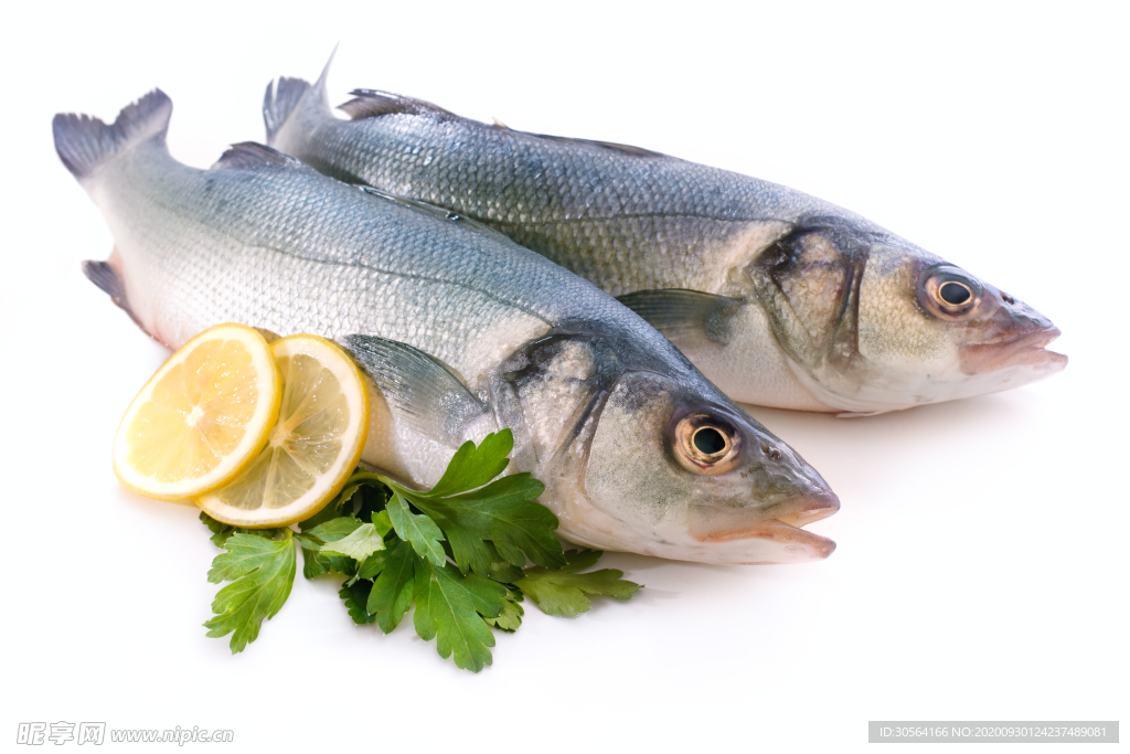 海鲜鱼美食食材背景海报素材