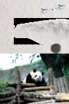 中国风背景