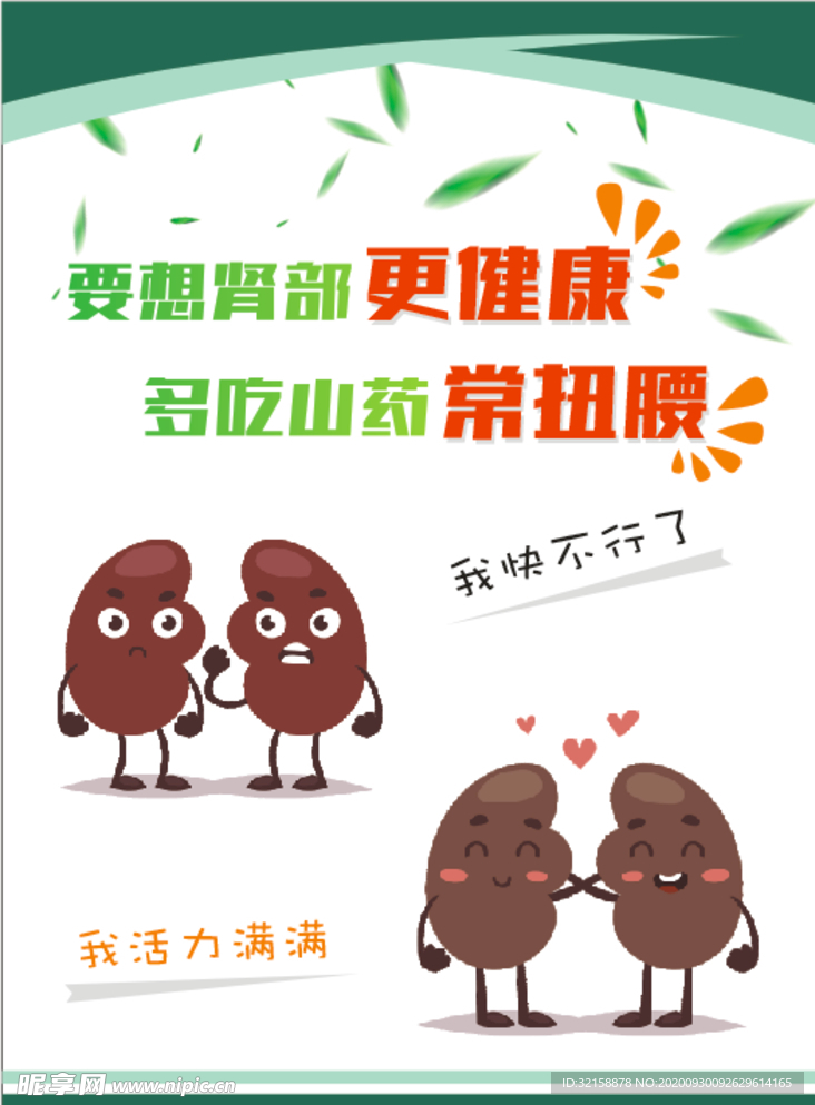 肾部健康