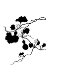 黑色叶子葫芦