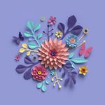 插画 花卉