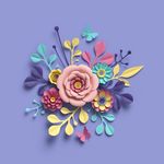 插画 花卉