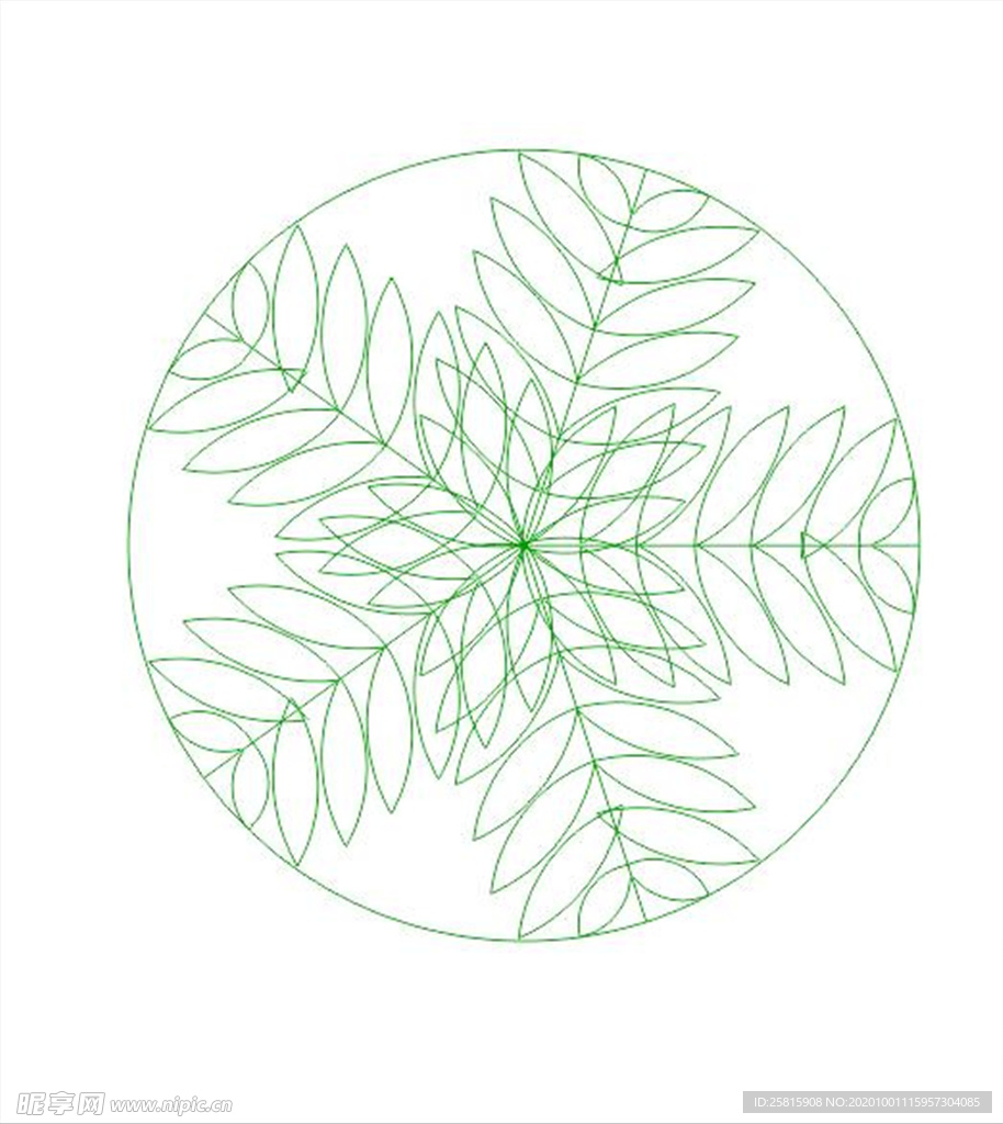 国王椰子