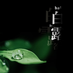 白露海报