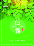 白露海报