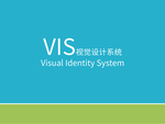VI样机