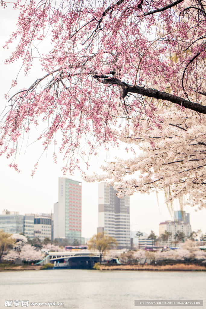 城市