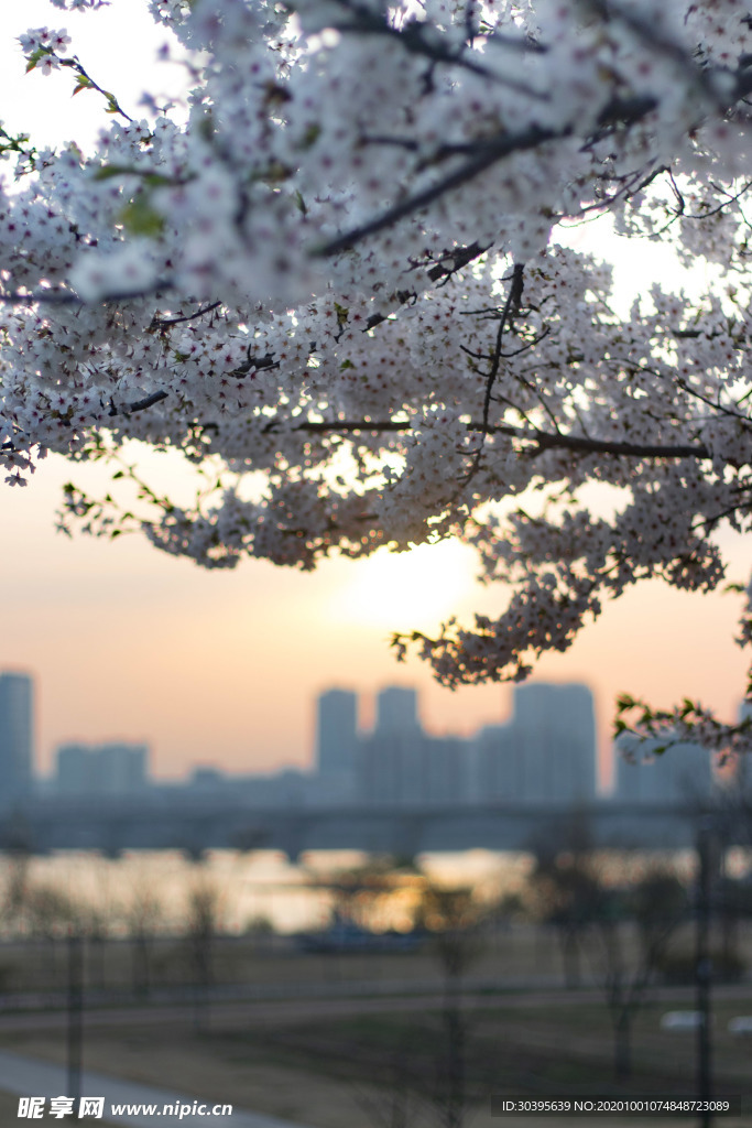 城市
