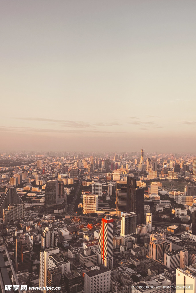 城市