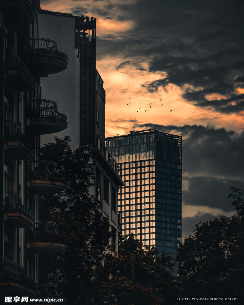城市
