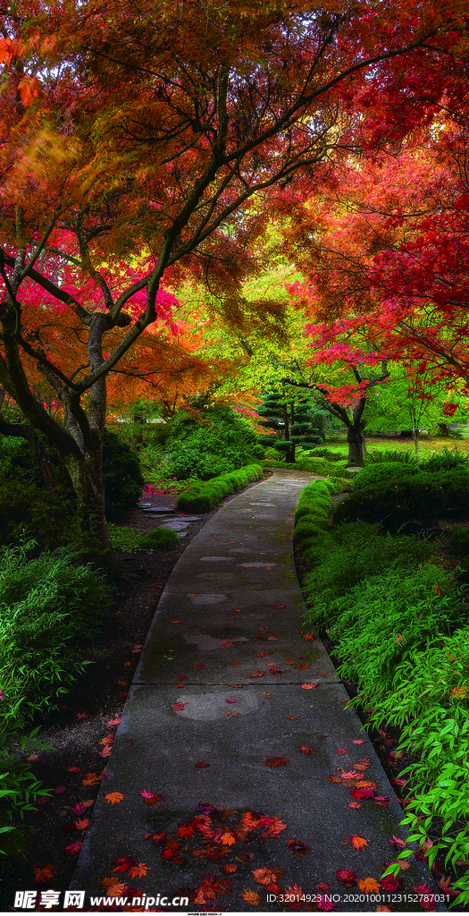 木栈道