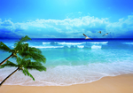 海边风景