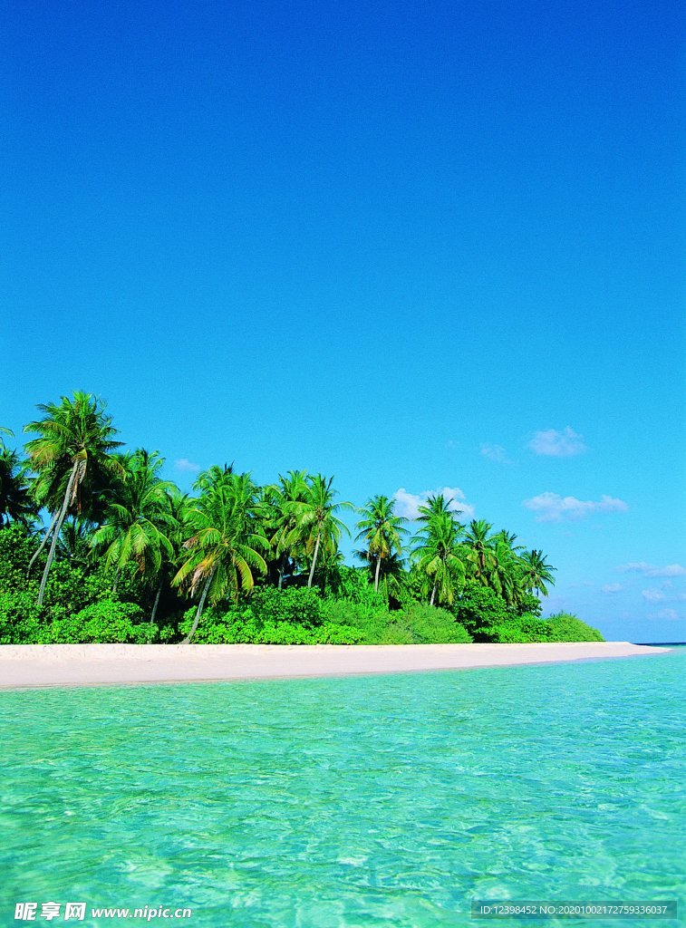 美丽的海边风景