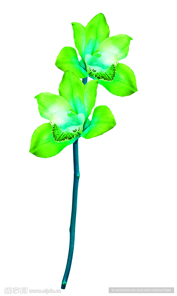 浪漫素材