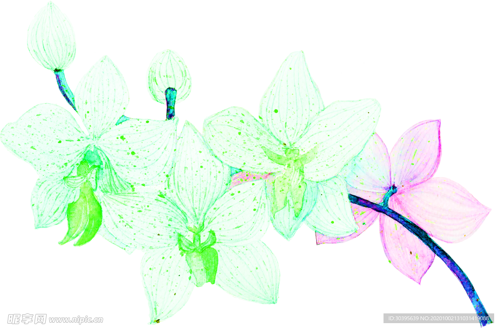 花素材