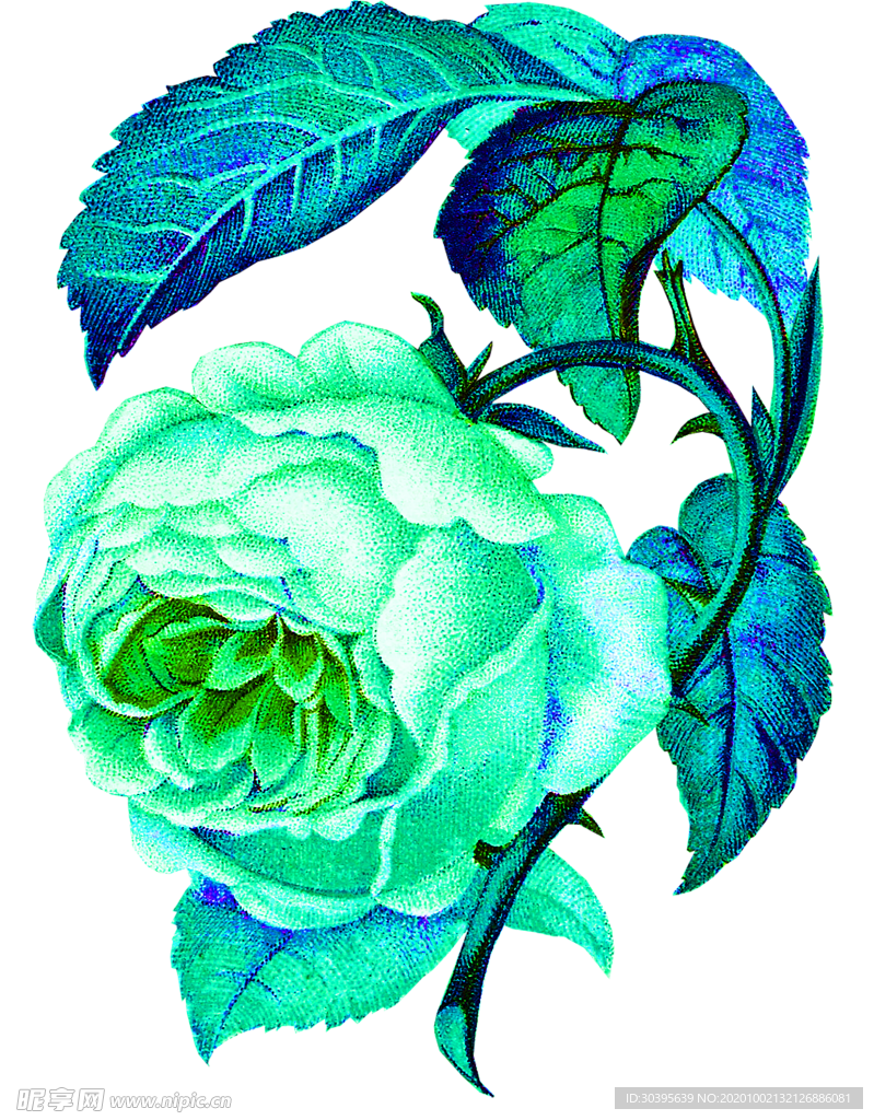 花素材