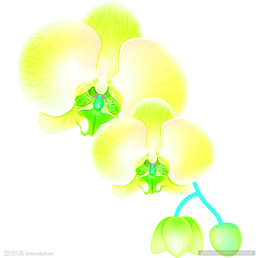 花素材