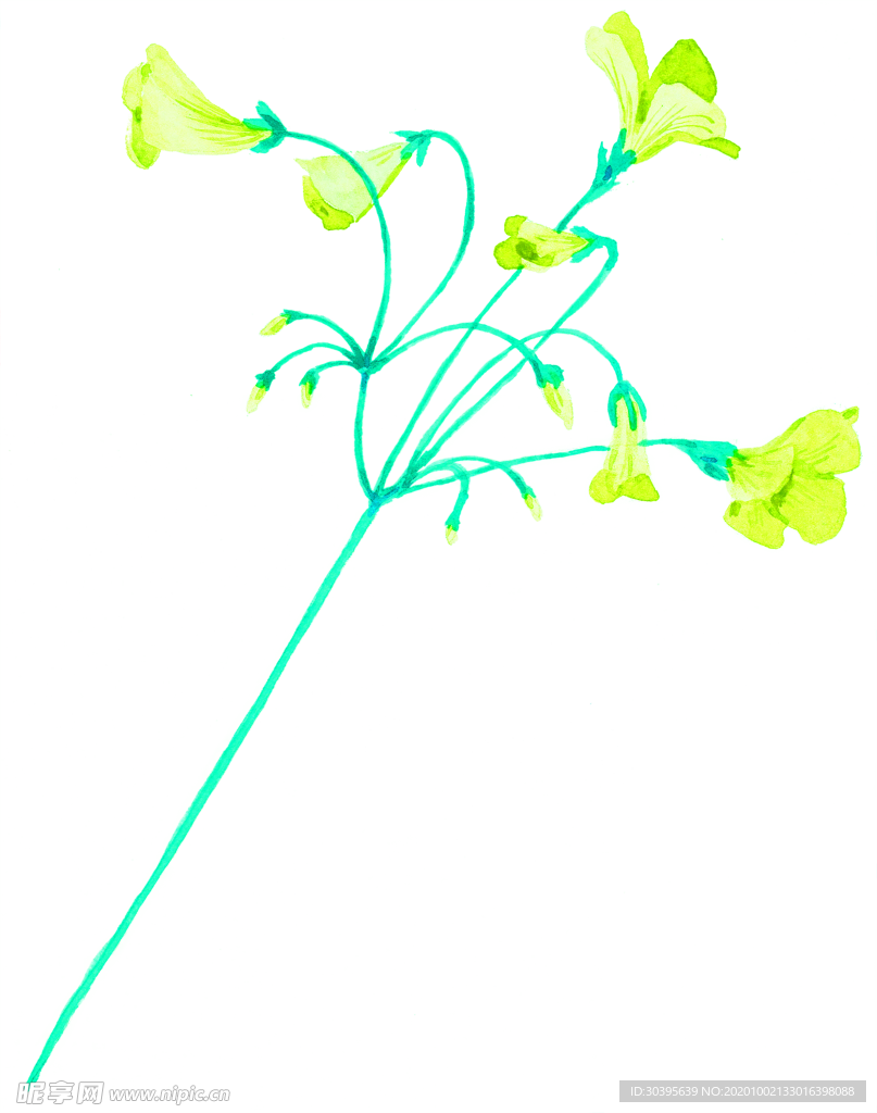 花素材
