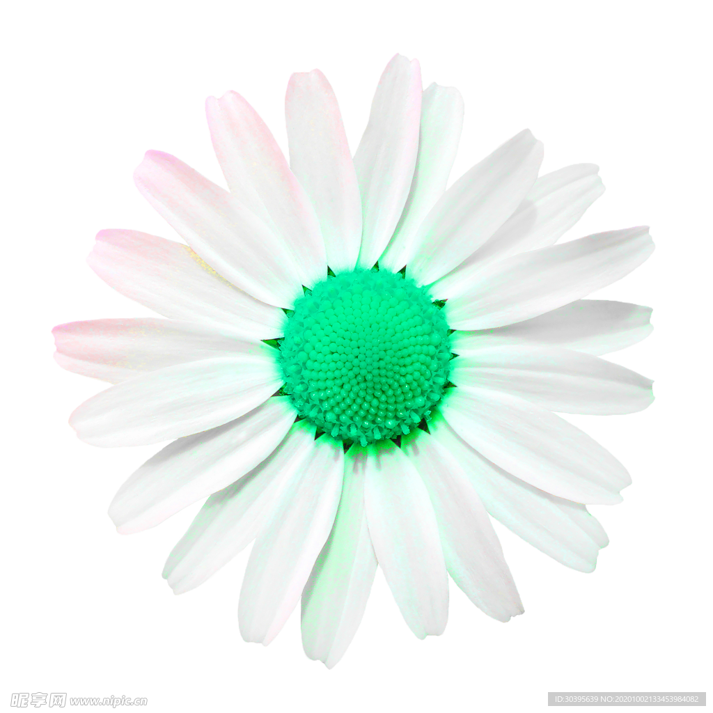 花素材
