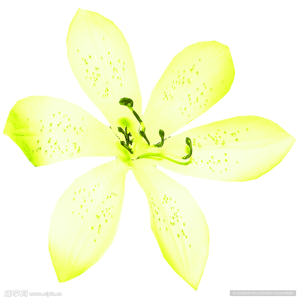 花素材