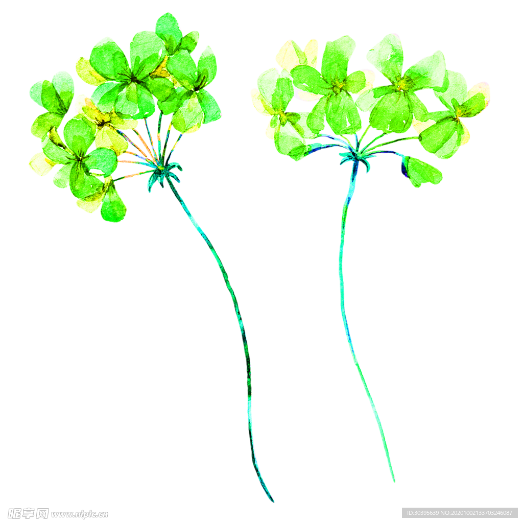 花素材
