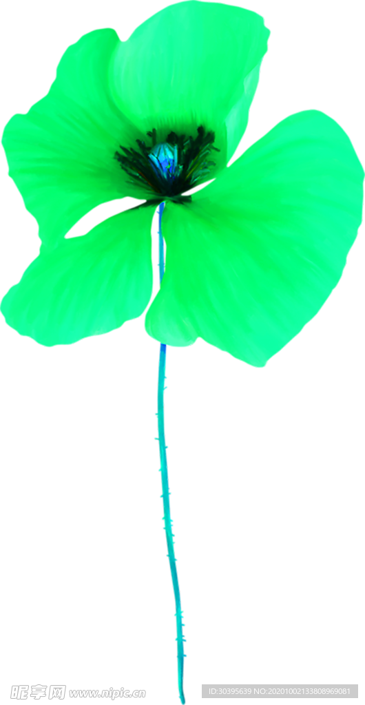 花素材