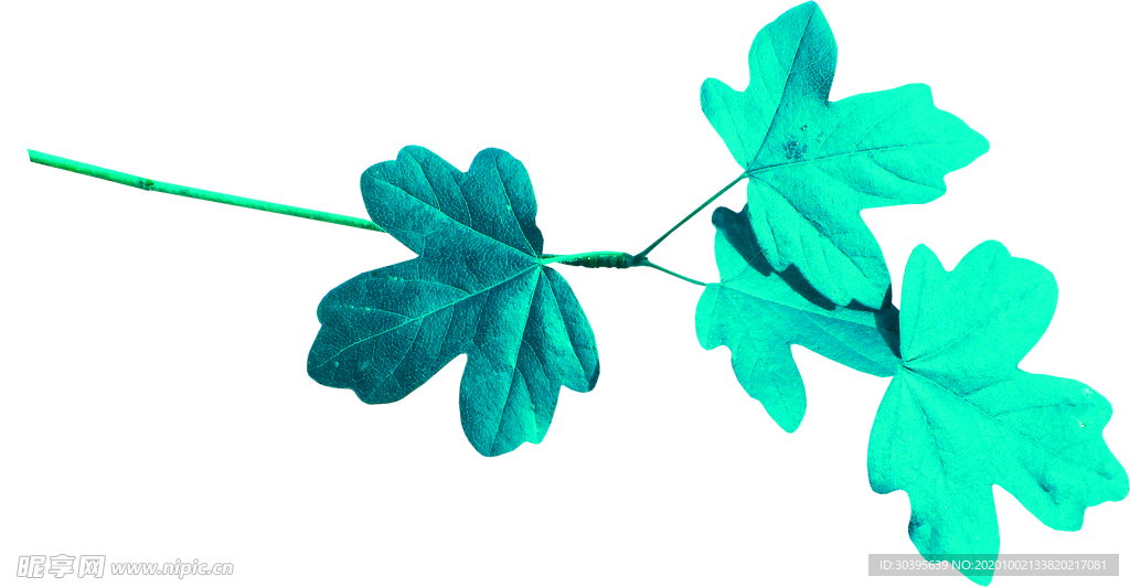 花素材