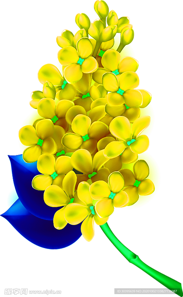 花素材