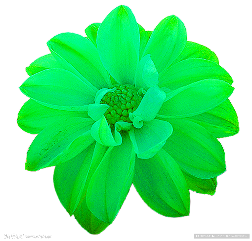 花素材