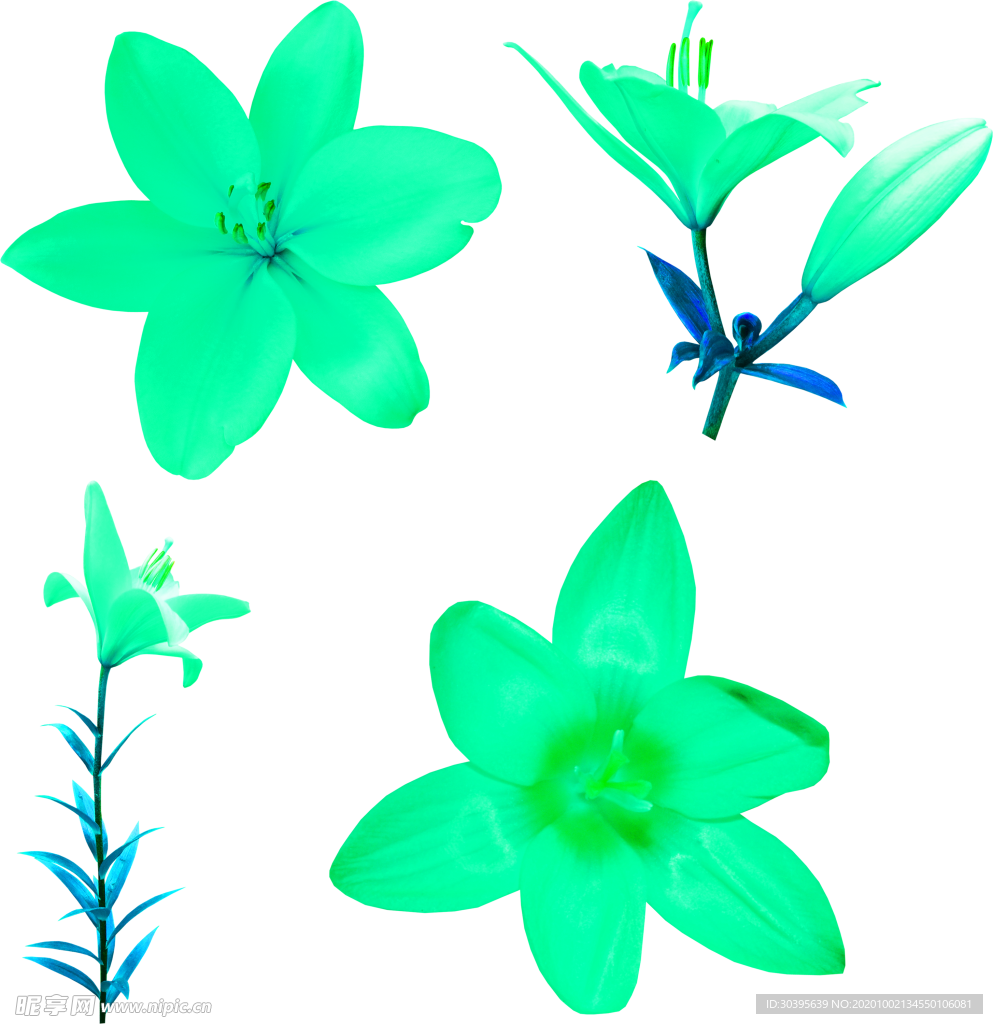 花素材