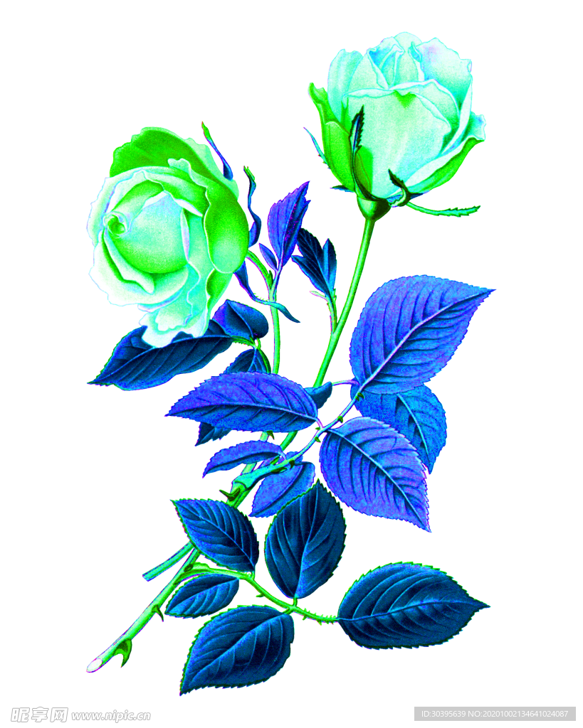 花素材