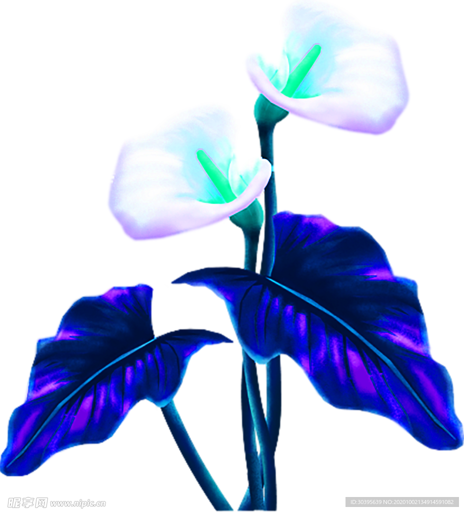 花素材