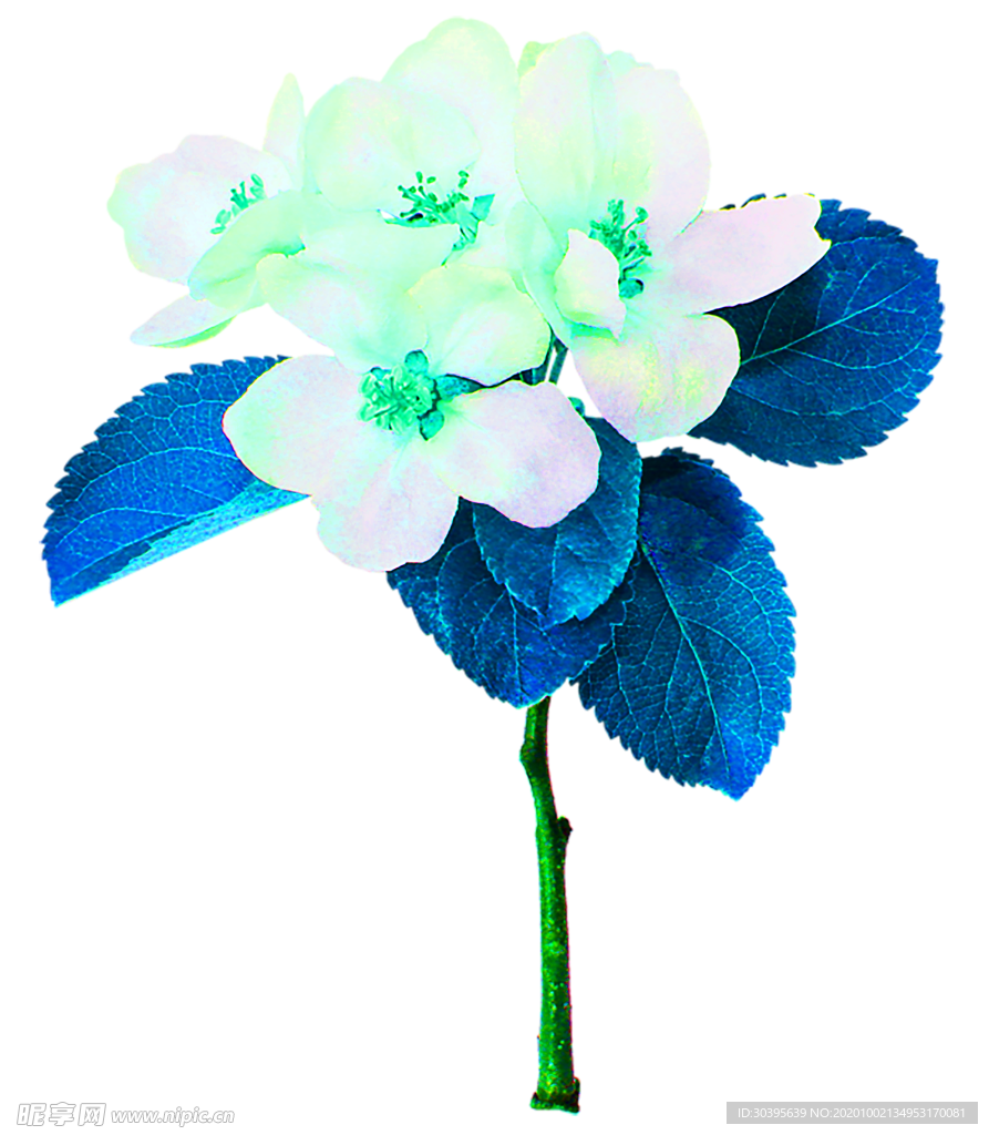 花素材