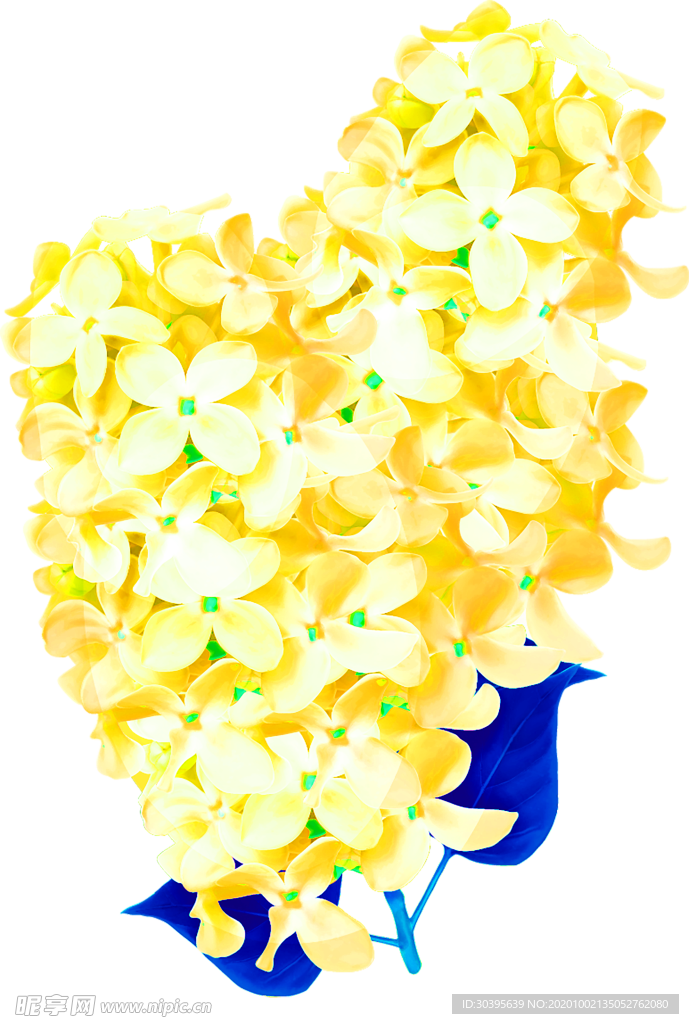 花素材