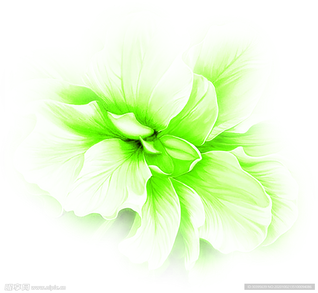 花素材