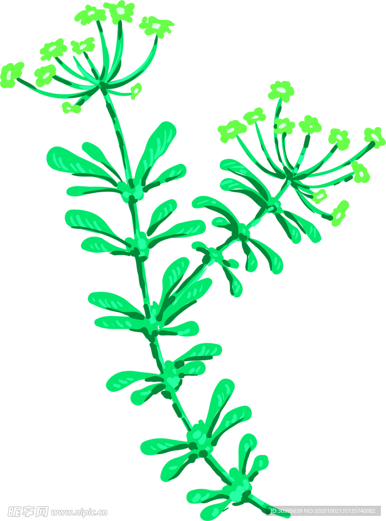 花素材