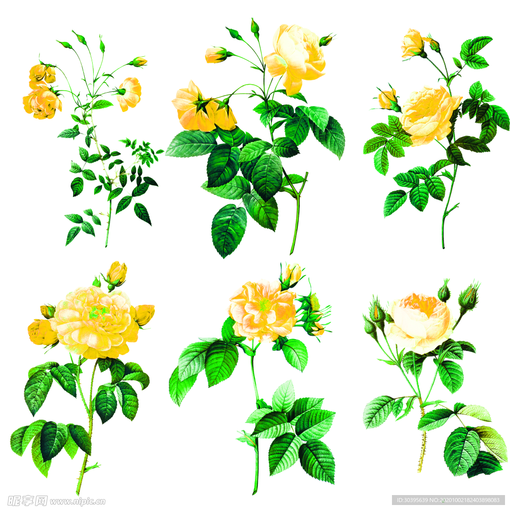 花素材