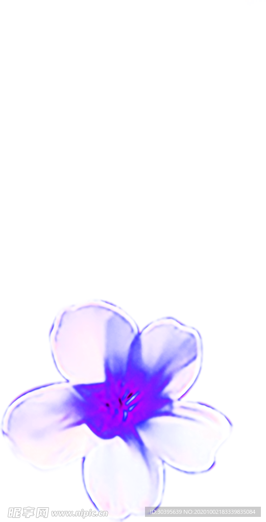 花素材