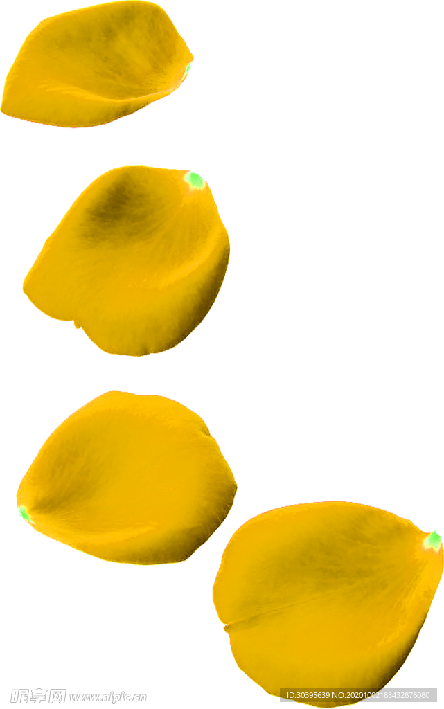 花素材