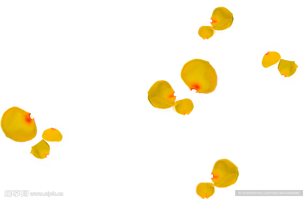 花素材