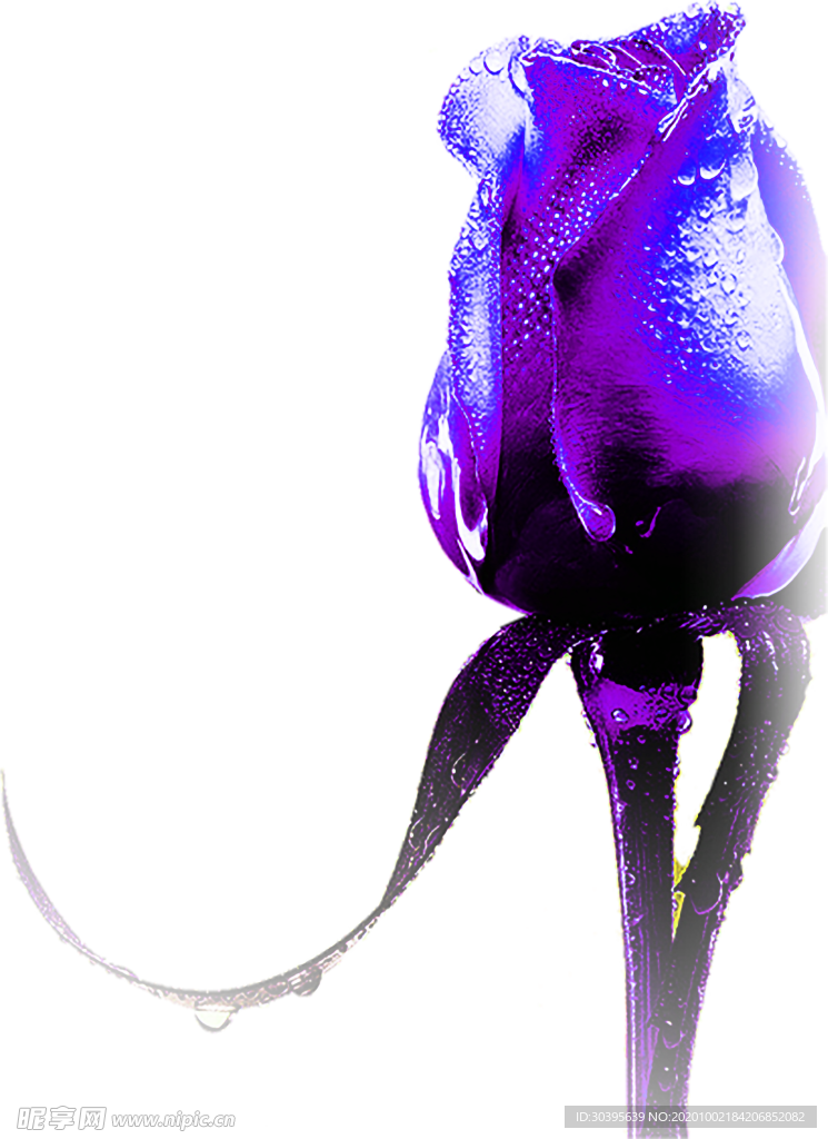 花素材