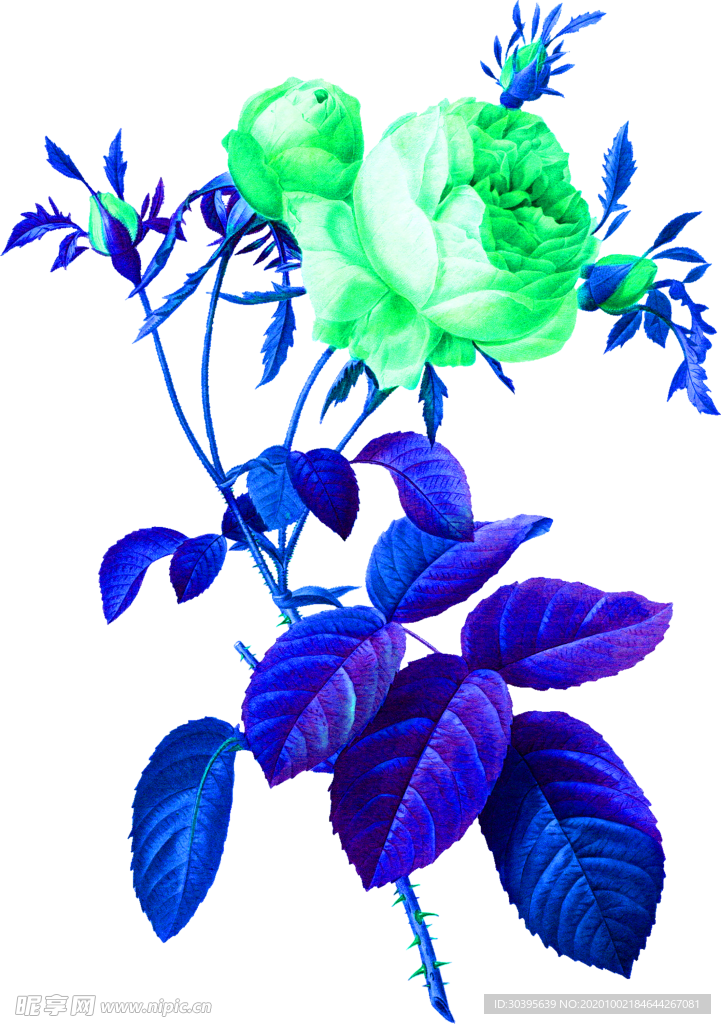 花素材