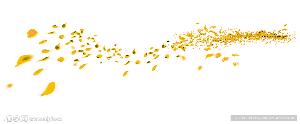 花素材