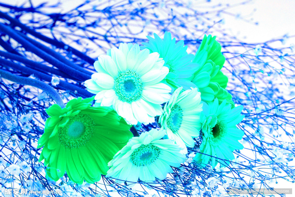 花素材
